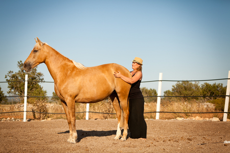 young woman training horse outside in summer choreography の写真素材
