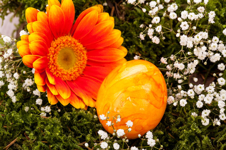 Vivid orange Easter egg with a painted marble pattern nestling in a straw nest with a fresh gerbera daisy and rose to celebrate Easter and springの写真素材
