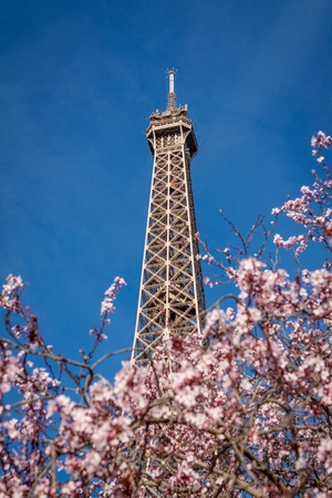 View of the Eiffel Tower in Paris on the Champs de Mars against a blue sky, one of the most visited and iconic landmarks in France with its distinctive wrought iron lattice frameの写真素材