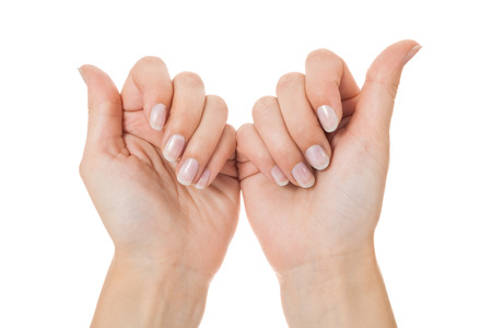 Sensual female hands isolated on white with a woman with neat manicured natural nails gracefully holding her wrist as she raises her handsの写真素材