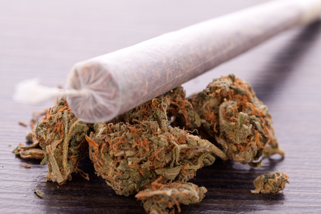 Close up of dried marijuana leaves and tied end of marijuana joint with translucent rolling paper on white backgroundの写真素材