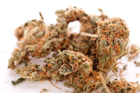 Close up Dried Cannabis or Marijuana Leaves Used for Psychoactive Drug or Medicine on Top of the Tableの写真素材