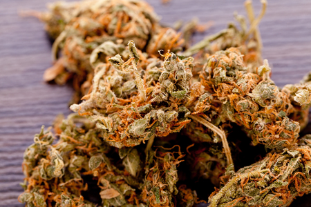 Close up Dried Cannabis or Marijuana Leaves Used for Psychoactive Drug or Medicine on Top of the Tableの写真素材