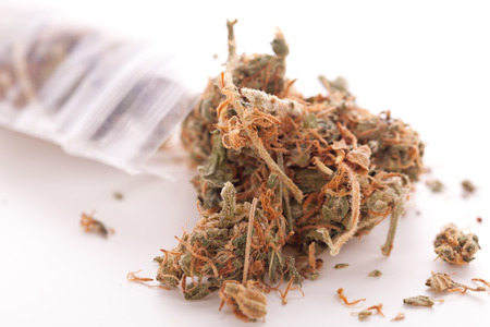 Close up Dried Cannabis or Marijuana Leaves Used for Psychoactive Drug or Medicine on Top of the Tableの写真素材