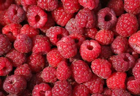 Ripe red raspberry textured background