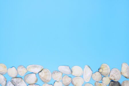 seashells on tropical background