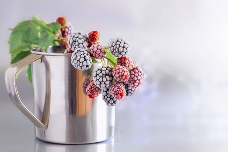Blackberries in the snow. Delicious frozen blackberries in a metal mug. Background of BlackBerry, close-up. Copy space.の写真素材