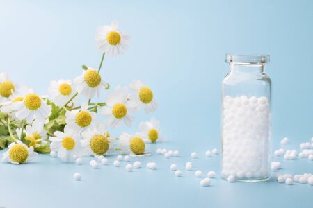 Homeopathic globules and glass bottle on blue background next to medicinal chamomile flowers.
