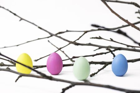 Easter card. tinted chicken eggs near the branches on a white background. Easter concept. Copy space
