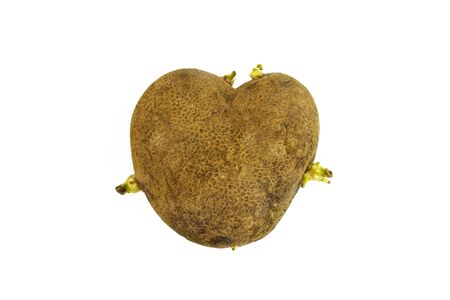 Ugly potato in the heart shape on a white background. Sprouted potato Funny, unnormal vegetable or food waste concept.の写真素材