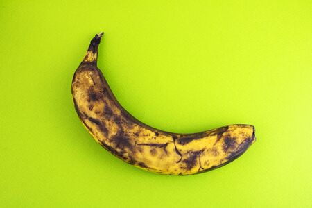 Spoiled banana on a green background. Organic waste overripe fruit. Ugly foods, fruits. Copy spaceの写真素材