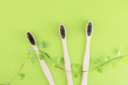 Bamboo toothbrushes and green vine twig with leaves isolated on a green background. The concept of...