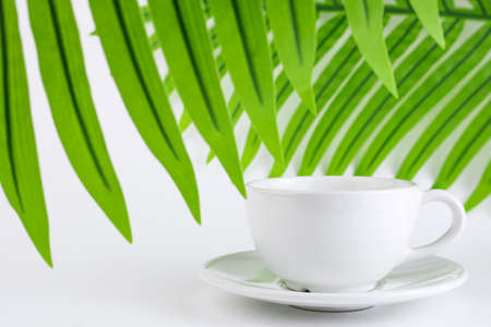White mug and saucer on a white background, near palm leaves. A set of porcelain or ceramic dishes. Copy spaceの写真素材