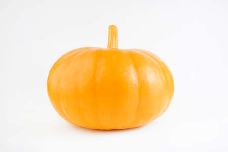 Pumpkin isolated on white with shadow and subtle reflection. Ripe orange yellow pumpkin. Harvest.の写真素材