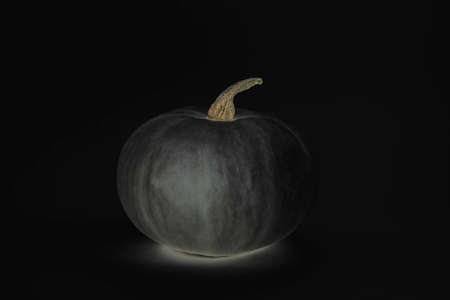 Halloween pumpkin on a dark background. Concept for Halloween background, postcard, banner. Copy spaceの写真素材
