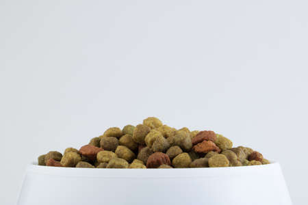 Food for a dog or cat. Dry food for kittens or puppies close-up in a white bowl on a white background. Concept - advertising of dry food for pets. Copy spaceの写真素材