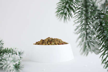 Food for a dog or cat. Dry food for kittens or puppies in a white bowl on a Christmas background....