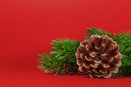 Pine cone on background spruce, on a red background. Selective focus. Christmas composition, postcard. Christmas, new year concept. Copy spaceの写真素材