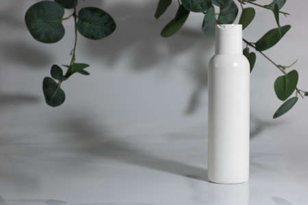 Skincare cosmetic bottle on white gray background, with a green plant. Spring season cosmetics. Daily cosmetics. Cosmetics advertisement mockup. Banner. Copy spaceの写真素材
