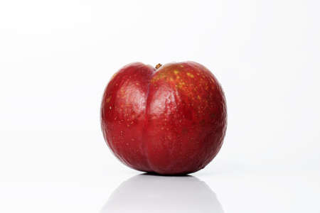 Ripe plum isolated on white background with shadow and reflection. Overripe old ugly plum. Spoiled foodの写真素材