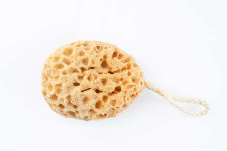 sponge isolated on white background, top view. the concept of gentle cleansing of the face or body....