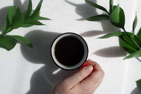 Hand holding fresh morning coffee in a red mug, on a white table with green leaves, with hard shadows. Coffee or breakfast concept.の写真素材