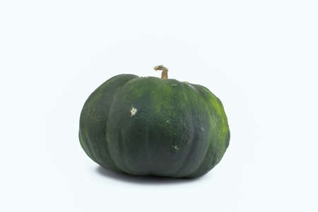 Ugly ripe green pumpkin on a white background. Organic waste of overripe fruits. Ugly food, fruits. Copy spaceの写真素材