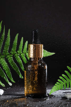 Mock up glass dropper bottle on wet black background with drops, with tropical fern leaves and...