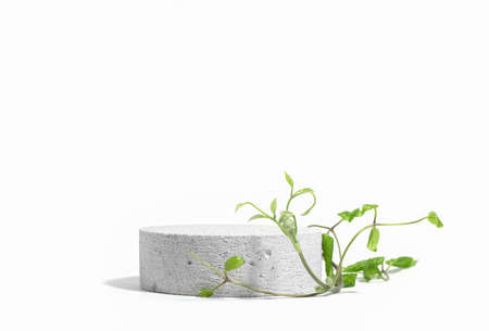 Cylindrical stone concrete eco podium on white background with hard shadows and green tropical...