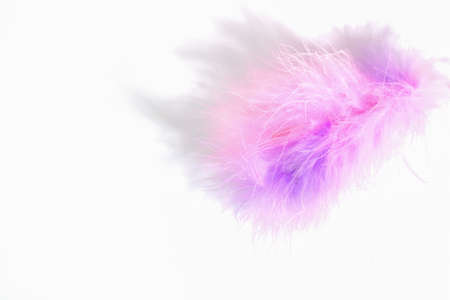 Pink lilac fluff feather isolated on white background close-up. Fluffy pink fluff.の写真素材