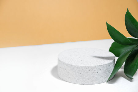 Cylindrical stone concrete eco podium on white beige background with colorful riskus leaves, hard shadows, in the rays of the sun. Minimal empty cosmetic product presentation scene. Geometric podium.の写真素材