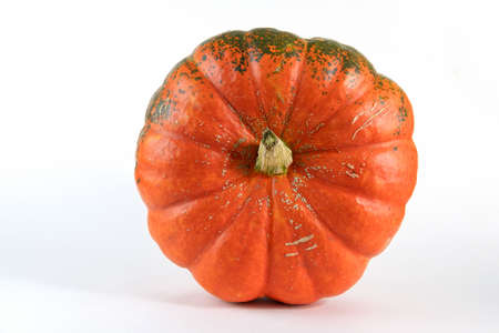 Pumpkin isolated on white with shadow and subtle reflection. Ripe ugly pumpkin, orange pumpkin. Harvest. Top viewの写真素材