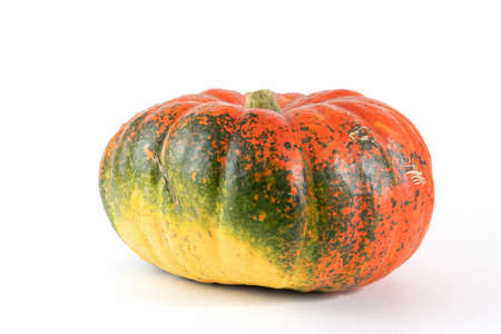 Pumpkin isolated on white with shadow and subtle reflection. Ripe ugly pumpkin, orange green pumpkin. Harvest.の写真素材