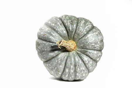 Ugly ripe green pumpkin on a white background. Organic waste of overripe fruits. Ugly food, fruits. Top side view. Copy spaceの写真素材