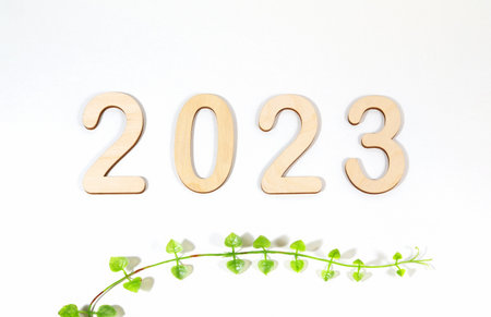 Text 2023 from wooden numbers on a white background with live leaves of a plant, with shadows. postcard or calendar. Numeric symbol of the new year.の写真素材