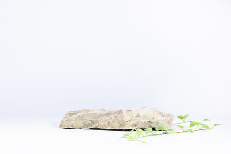 Creative layout of colorful leaves on a white background in the rays of the sun, with shadows....