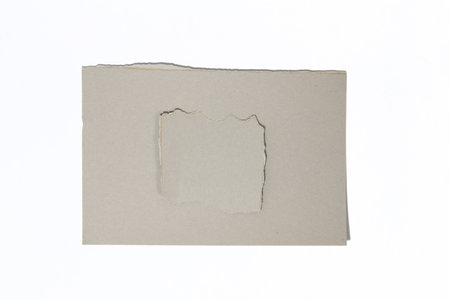 Torn sheets of old paper. Torn vintage paper shreds set.