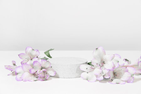 Cylindrical concrete stone podium on a white gray background with hard shadows and plant, flowers. Minimal empty cosmetic product presentation scene. Geometric podium.の写真素材