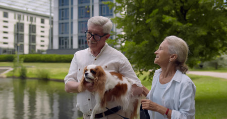 Elderly couple carry cute spaniel walking in parkの写真素材
