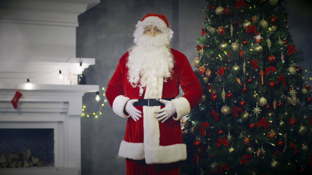 Portrait of Santa Claus standing in living room near fireplace and decorated Christmas treeの写真素材