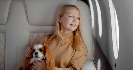 Elegant mature woman sitting inside private jet with adorable dogの写真素材