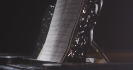 Piano music pianist hands playing. Musical instrument grand piano details 4Kの写真素材