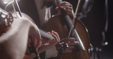 Young man playing double bass and woman playing violin against backgroundの写真素材