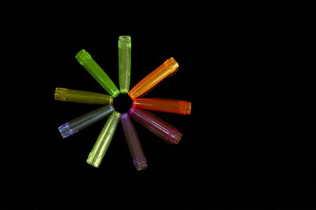 Nine different colours are collected in a camomileの写真素材