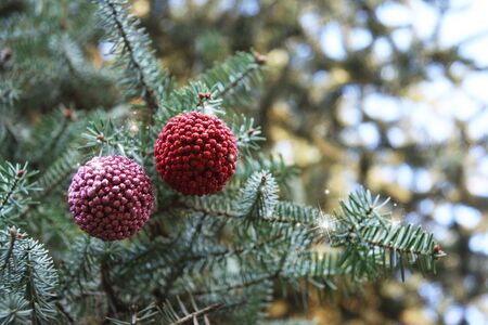 Two beautiful, brilliant toys hang on a fur-treeの写真素材