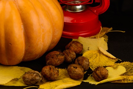 Haloween pumpkinの写真素材