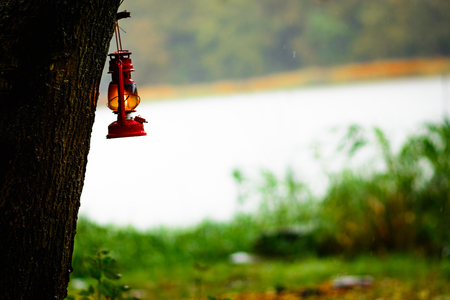 Gasoline lamp hanging of a tree in the rainの写真素材