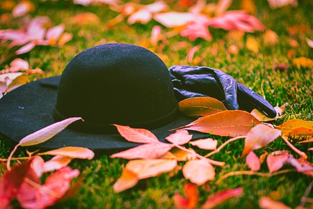 Gloves and hat in the leafs in the parkの写真素材