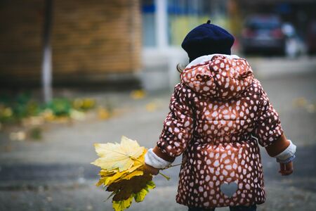Child collecting dead leaves from the ground. Child enjoying the autumnの写真素材
