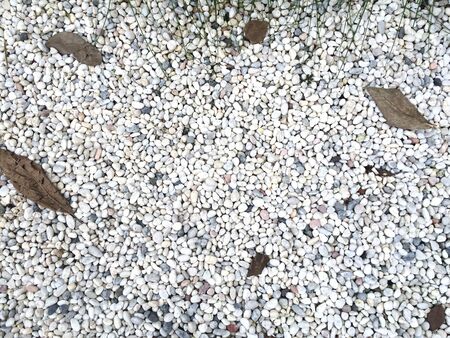white pebble and brown leafの写真素材